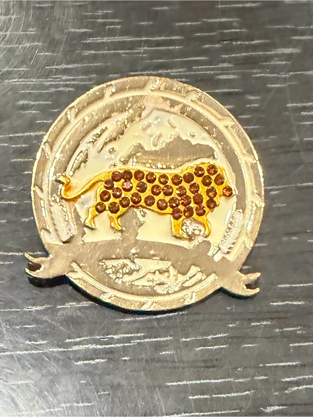 Women’s brooch pin